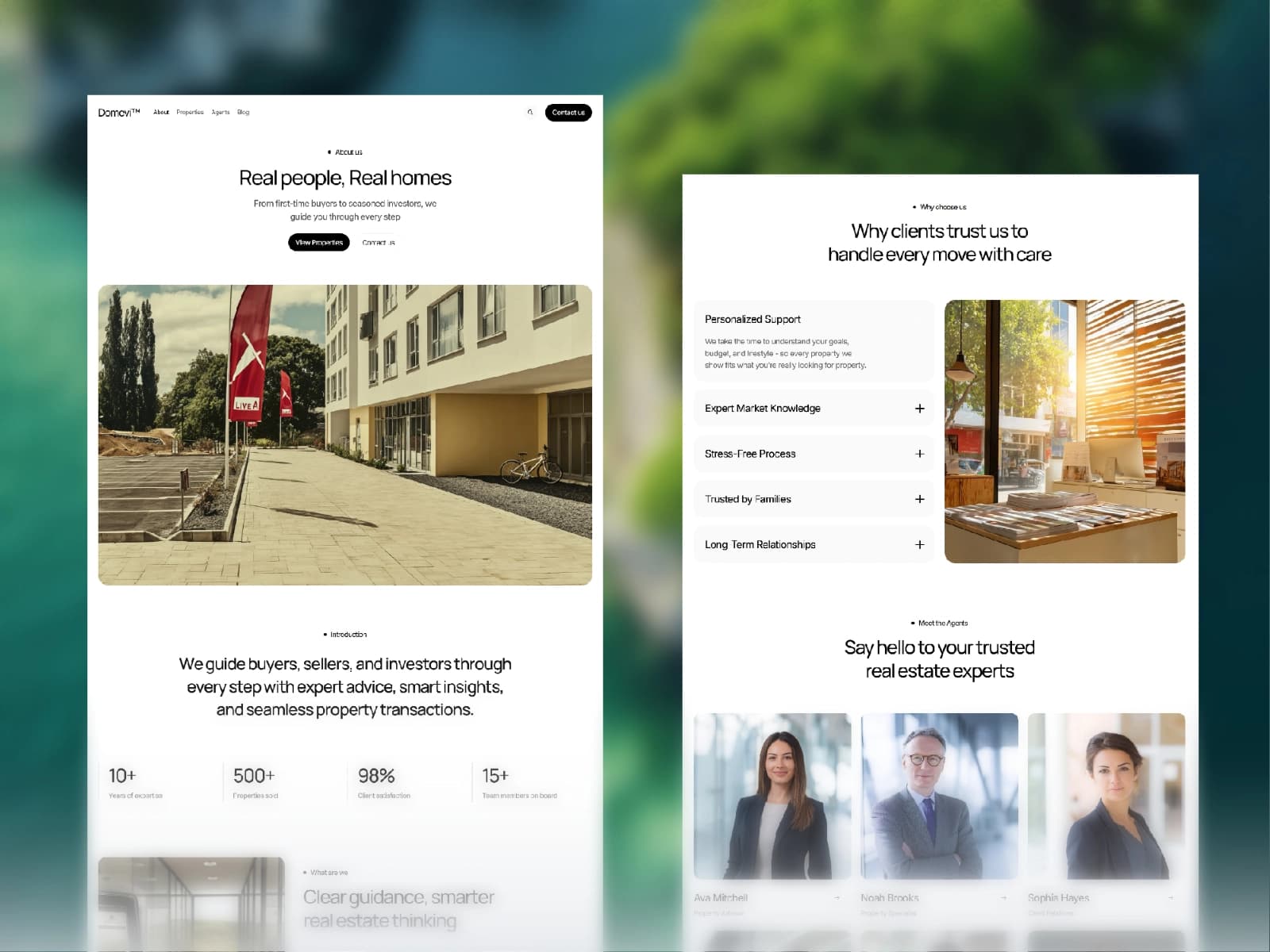 Domevi screenshot 4